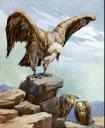 A soaring eagle